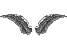 eagle wings art 2